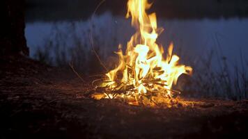 un fuego quemaduras en el apuntalar de un bosque lago. calma y relajación concepto. video