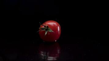 Tomato slow motion closeup falling in water with Splash droplets on black background macro shot cooking video