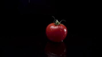 Tomato slow motion closeup falling in water with Splash droplets on black background macro shot cooking video