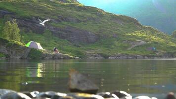 turistas estão em repouso perto a barraca. a barraca é localizado em a costa do uma lindo montanha lago. gaivotas mosca sobre a água. a lindo natureza do Noruega. lofoten ilhas. video