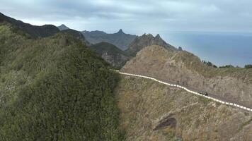 aérien vue de cyclistes conduite le long de une magnifique Montagne route sur le île de Tenerife dans le Espagnol canaris. Voyage et aventure concept. 4k video