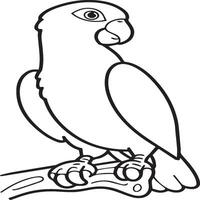 Parrot coloring pages. Coloring pages of Parrot for coloring pages vector