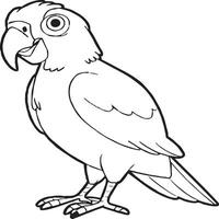 Parrot coloring pages. Coloring pages of Parrot for coloring pages vector