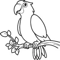 Parrot coloring pages. Coloring pages of Parrot for coloring pages vector