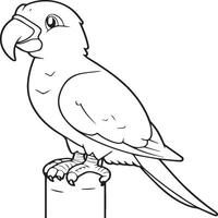 Parrot coloring pages. Coloring pages of Parrot for coloring pages vector