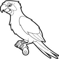 Parrot coloring pages. Coloring pages of Parrot for coloring pages vector