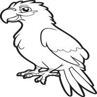 Parrot coloring pages. Coloring pages of Parrot for coloring pages vector