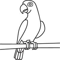 Parrot coloring pages. Coloring pages of Parrot for coloring pages vector