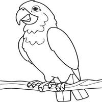 Parrot coloring pages. Coloring pages of Parrot for coloring pages vector