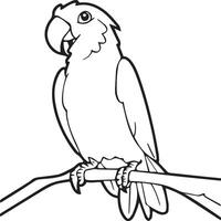 Parrot coloring pages. Coloring pages of Parrot for coloring pages vector