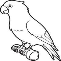 Parrot coloring pages. Coloring pages of Parrot for coloring pages vector