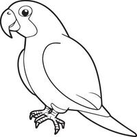 Parrot coloring pages. Coloring pages of Parrot for coloring pages vector