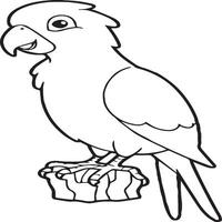 Parrot coloring pages. Coloring pages of Parrot for coloring pages vector