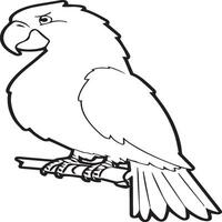 Parrot coloring pages. Coloring pages of Parrot for coloring pages vector