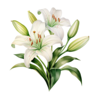 AI generated Elegant Blooms Embrace Easter with the Timeless Beauty of Easter Lily png