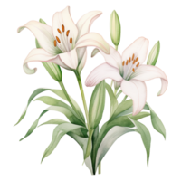 AI generated Elegant Blooms Embrace Easter with the Timeless Beauty of Easter Lily png