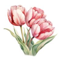 AI generated Blooming Beauty Easter Tulips - Vibrant Floral Delight for Spring Celebrations png