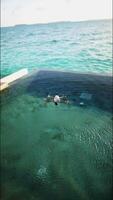 un' fuco mosche al di sopra di un' nuoto piscina nel il Maldive. verticale metraggio video