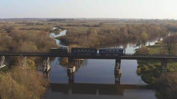 aéreo Visão do uma trem viajando sobre uma estrada de ferro ponte sobre uma rio. zangão voar sobre a locomotiva e carruagens do a limitar calibre estrada de ferro. video