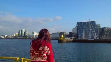 Reykjavik Island direkt am Wasser Hafen Bereich Aussicht von Innenstadt Reykjavik auf Sommer- Tag. ein Mädchen Besuch Sehenswürdigkeiten und Tourist Sehenswürdigkeiten im Reykjavik, Island. 4k video