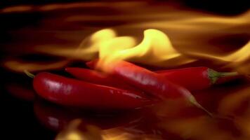 caldo rosso chili peperoni nel fiamme su un' nero sfondo. speziato cibo concetto. lento movimento 120 fps video