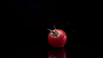 Tomato slow motion closeup falling in water with Splash droplets on black background macro shot cooking video