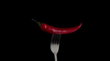 Hot red chili pepper on the fork rotates on a black background. Spicy food concept. Close up 4K video