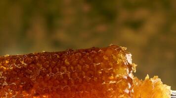 Golden honey pours on the honeycomb. Healthy food concept video