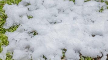 Macro time-lapse shot of shiny particles of melting snow and open green grass and leaf. Change of season from winter to spring in the forest. video