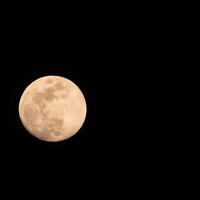 Full moon in the dark sky during night time, Great super moon in sky photo