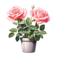 AI generated Blooming Love Valentine Pink Rose in Pot - Beautiful Floral Charm for Heartfelt Celebrations png