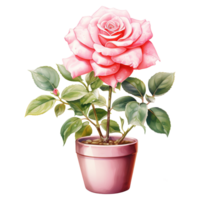 AI generated Blooming Love Valentine Pink Rose in Pot - Beautiful Floral Charm for Heartfelt Celebrations png