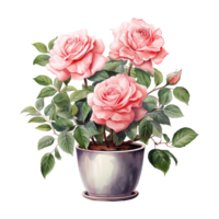 AI generated Blooming Love Valentine Pink Rose in Pot - Beautiful Floral Charm for Heartfelt Celebrations png