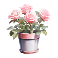 ai generato fioritura amore San Valentino rosa rosa nel pentola - bellissimo floreale fascino per sentito celebrazioni png