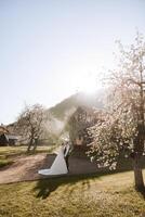 Wedding. Love and couple in garden for wedding. Celebration of ceremony and commitment. Save the date. Trust. The groom embraces the bride against the background of spring blossoming trees. photo