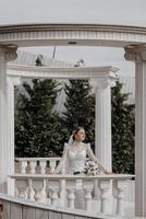 The bride in a long dress stands near white columns in the Roman style. Beautiful hair and makeup. An exquisite wedding photo