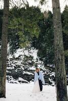 Groom and bride against the background of a pine forest and mountains. The bride and groom are wrapped in a blue blanket. Winter wedding. photo