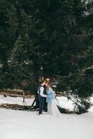 contento y sonriente novia y novio en el antecedentes de invierno bosque. un hermoso novio tiernamente sostiene el manos de su novia y Besos su. el concepto de un moderno invierno boda. foto