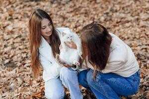 dos Adolescente hermanas otoño en naturaleza. ellos sentar en seco hojas de arboles ellos comunicar con cada otro mientras participación un mascota. ella es teniendo un corazon a corazon conversación. mejor amigos. privacidad. foto