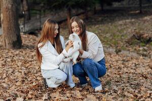 dos Adolescente hermanas otoño en naturaleza. ellos sentar en seco hojas de arboles ellos comunicar con cada otro mientras participación un mascota. ella es teniendo un corazon a corazon conversación. mejor amigos. privacidad. foto