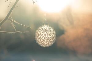 Christmas ball on tree outdoors, creative photo, new year, christmas photo