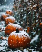 ai generado Víspera de Todos los Santos calabazas en el nieve. Jack o linternas foto