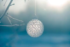 Christmas ball on tree outdoors, creative photo, new year, christmas photo