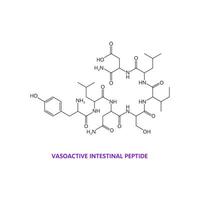 Neurotransmitter, vasoactive intestinal peptide vector