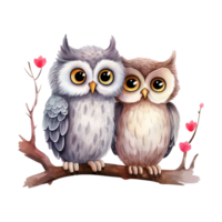 ai généré sage l'amour Valentin hibou des couples - adorable à plumes compagnons pour une romantique fête png