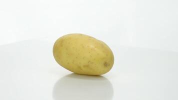 aardappel voedsel draaien Aan wit achtergrond video