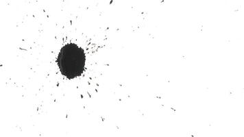 Top view of organically captured dots and blots of black ink splattering over a white background. Perfect elements for compositing transitions video