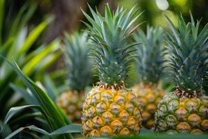 AI generated Pineapples at the garden. photo