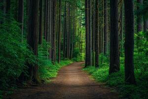 ai generado sendero mediante alto arboles en un lozano bosque foto