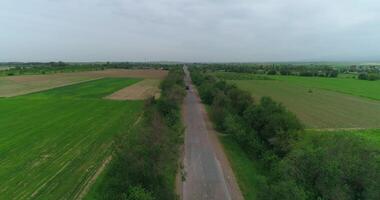 The drone flies over a small country road. There are fields and green trees around. video